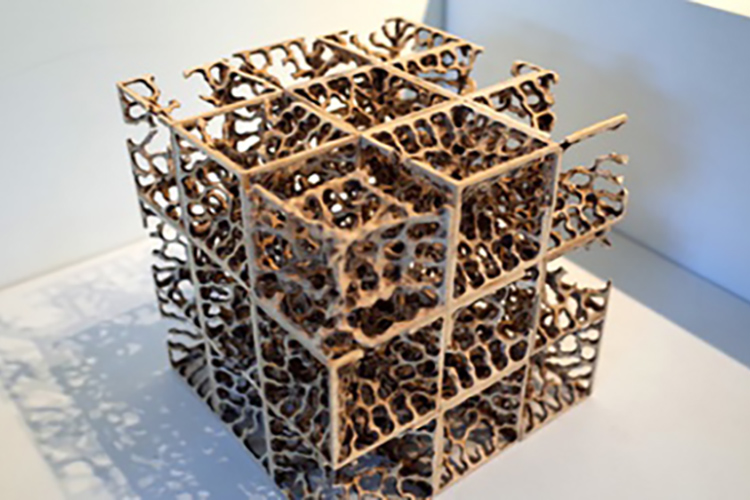 橋本仁,Jin Hashimoto|@GALLERY TAGBOAT