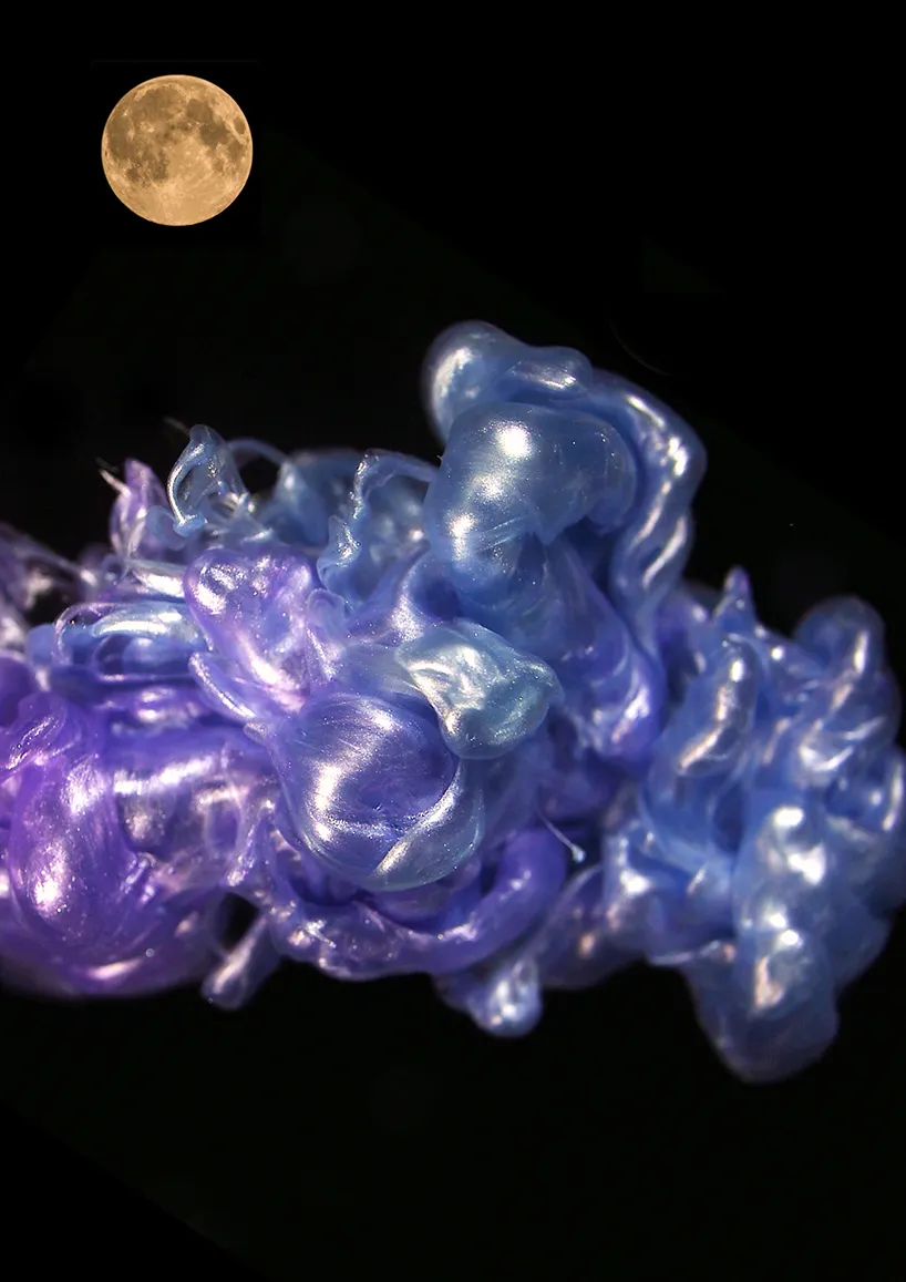 土佐尚子/Naoko Tosa