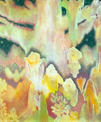 岡村一輝代表作品