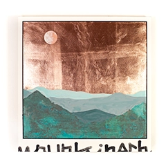 新埜康平代表作品