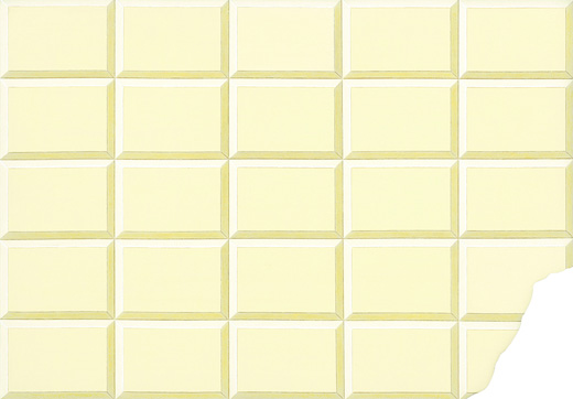 渡辺佑基/Yuuki Watanabe