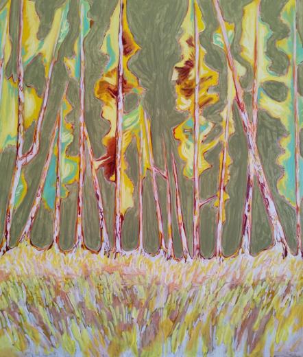 Summertime: Darkness won't fall