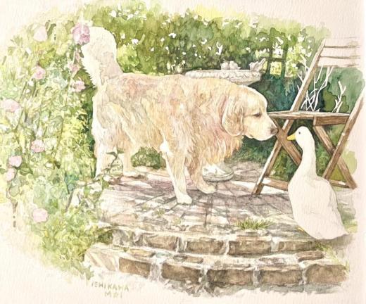 ゆるやかな時間