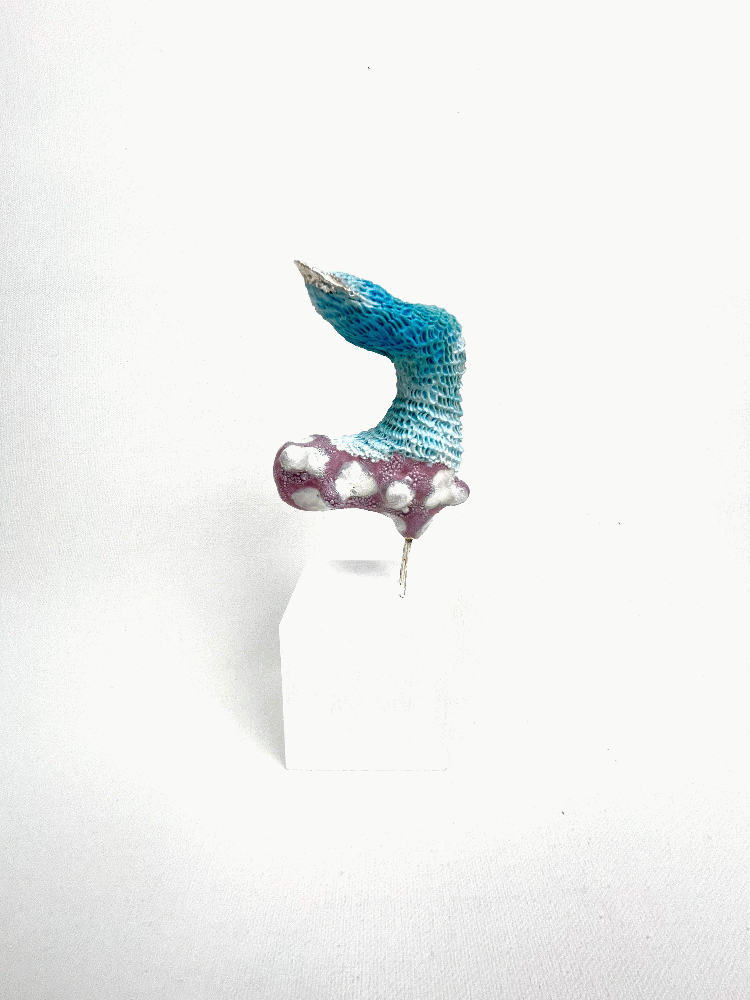 空に広がるwide Sky|小池正典Masanori Koike