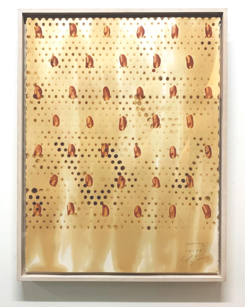 Sowing 94076Sowing 94076|中川佳宣Yoshinobu Nakagawa