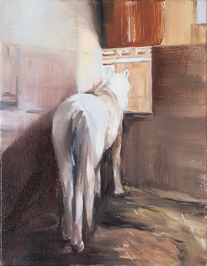 waiting for the light -horse-B