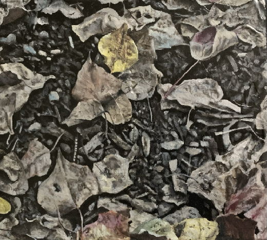 地面のダビング-落ち葉