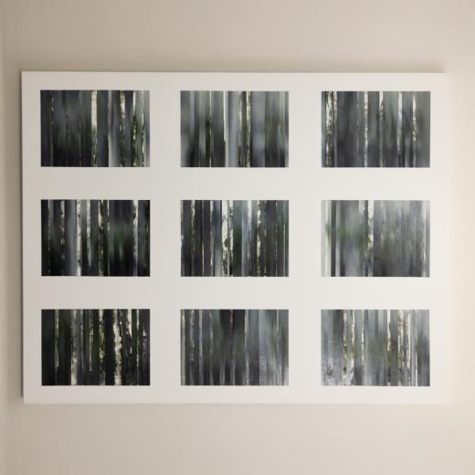 Disassembly/Sequence