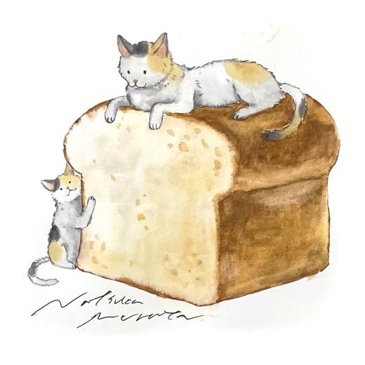 ネコと食パン