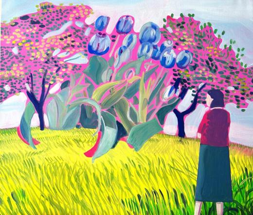 チューリップの木