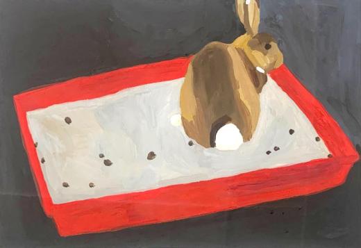 うさぎとその糞