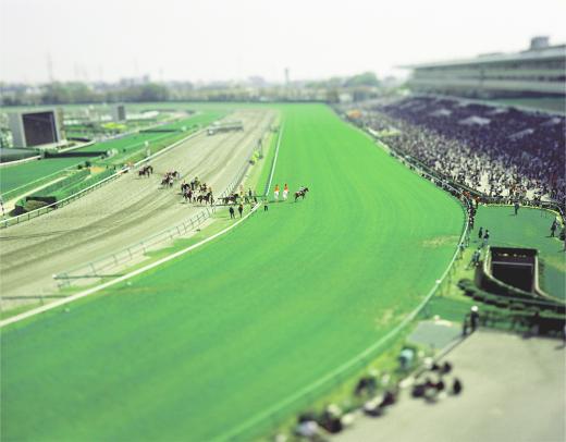 Nakayama Racecourse, Chiba, Japan / 2005 (シリーズ 「 small planet 」 より)