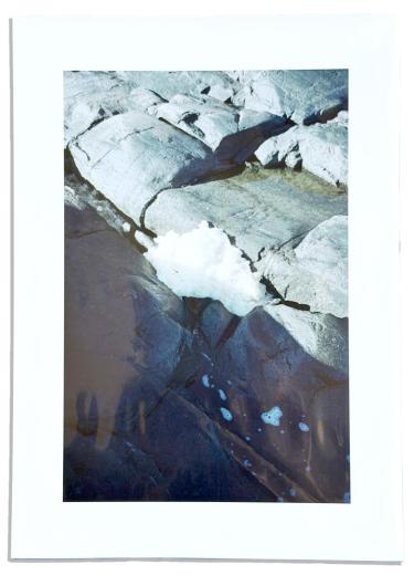 A song for windows ( 直筆サイン・エディションナンバー入りの写真付き )