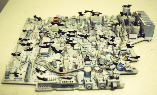 黒ネコのいる街