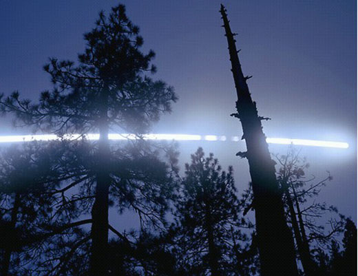 A Moon Trail, Trees, Yosemite National Park (Edition 9)M