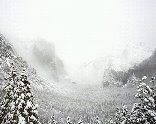 Snowstorm, Yosemite Valley (Edition 9)L