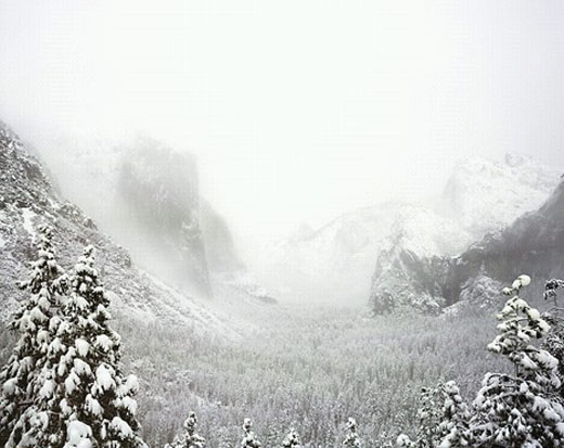 Snowstorm, Yosemite Valley (Edition 9)M