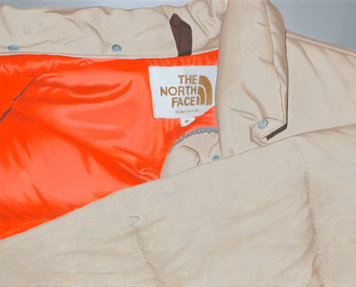 Untitled (Down jacket of North face)