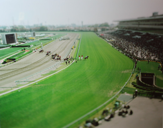 The horse race , Chiba