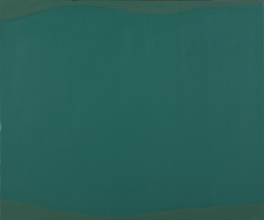 夜の群生(シダ)