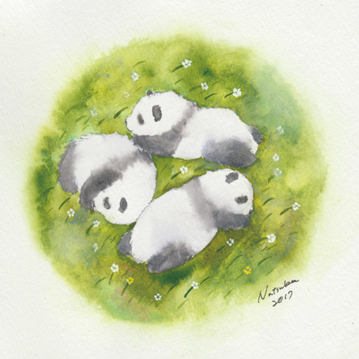 Panda (mitsugo)