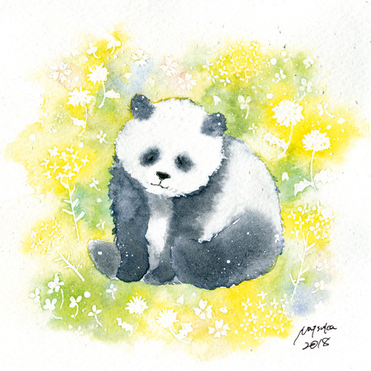 Panda (garden)