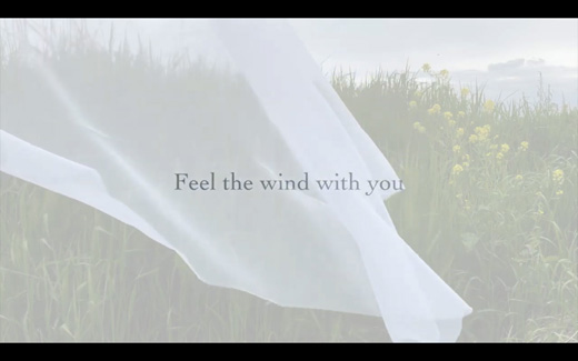 feel the wind with you