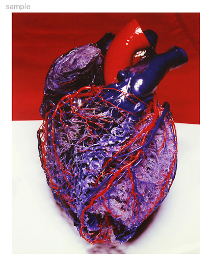 Map of the Human Heart